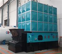 生物質(zhì)導熱油爐-臥式生物質(zhì)導熱油爐